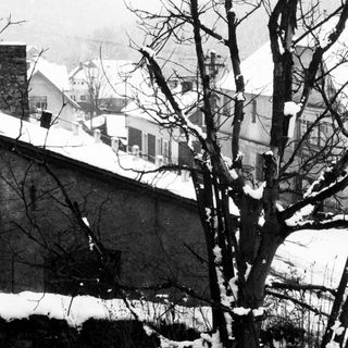 Snow-covered village with bare trees and a hillside.