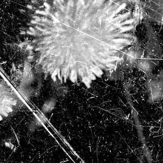 Here's a brief summary of the image: Close-up of a cracked, scratched black surface with visible debris.