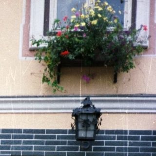 Couple poses outside a building with floral details.