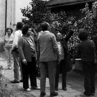 Group of people walk along a paved path.
