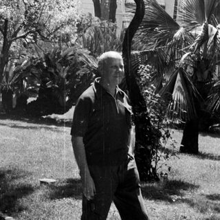 Man walks through a garden with palm trees.