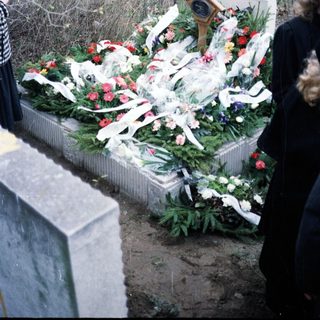 Grave covered with flowers and ribbons in a wooded area.