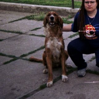 Person kneeling outdoors with two dogs in a yard.