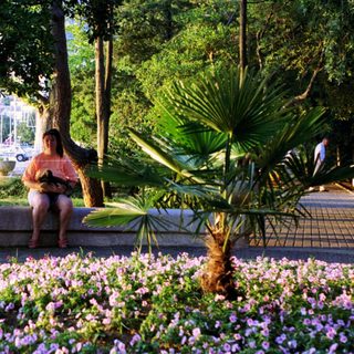 Woman sits near flowers and boats in a coastal scene.