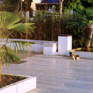 Woman and dog stand on a paved area with greenery.