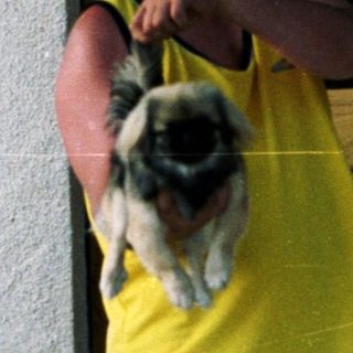 Man holding a dog outside a building.