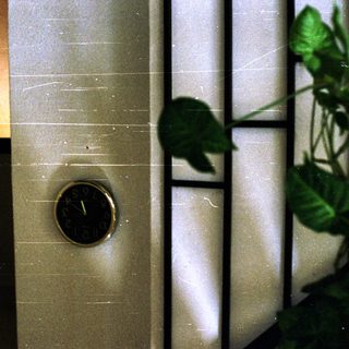 Clock on a wall with plants and a doorway.