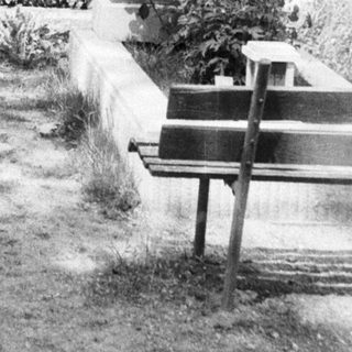 Here's a brief summary of the image: Overgrown cemetery with numerous headstones and benches.