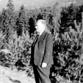 Man stands in a forest with a mountain backdrop.