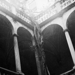 Arched balcony with vines and weathered stone architecture.