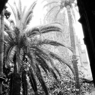 Palm trees and a building viewed through an archway.