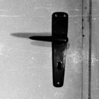 Man in a polo shirt stands near a door.