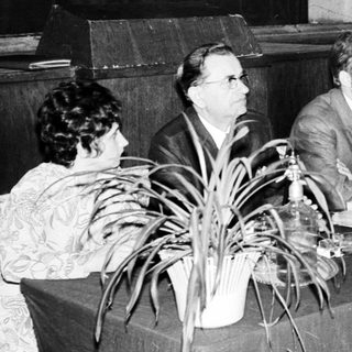 Panel discussion with audience, speaker, and potted plants.