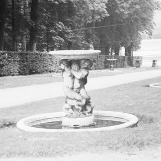 Woman walks along a path in a formal garden.