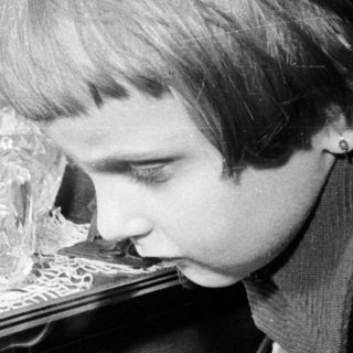 Boy intently examines figurines behind a display case.