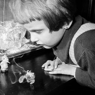 Boy intently examines figurines behind a display case.
