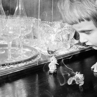 Boy intently examines figurines behind a display case.