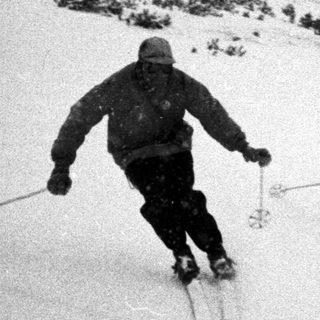 Two skiers descend a snowy, forested hillside.