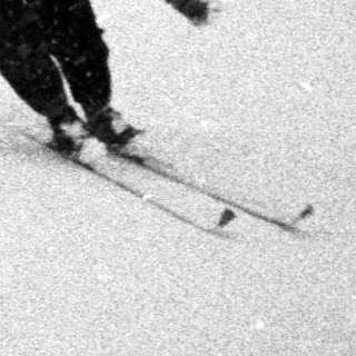 Two skiers descend a snowy, forested hillside.