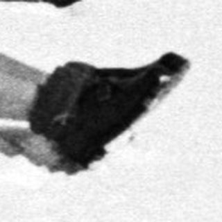 Here's a brief summary of the image: Three men lie prone in the snow, appearing injured.