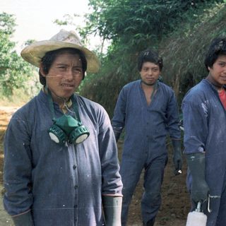 Four men in coveralls and masks stand outdoors.