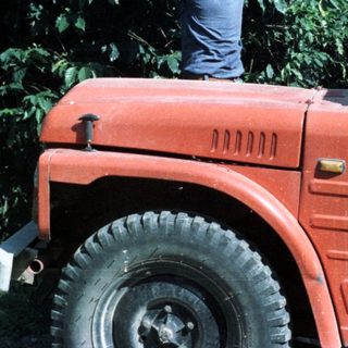 Man in vehicle appears to be inspecting a coffee plantation.