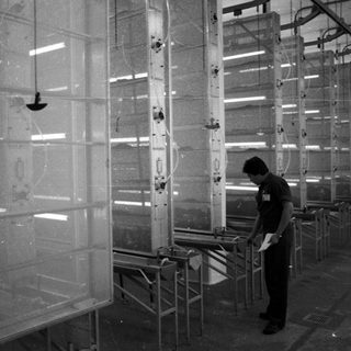 Man inspects a long row of what appear to be spray booths.