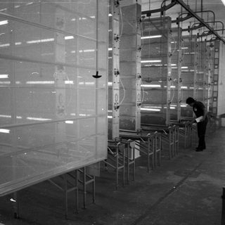 Factory worker in a room with automated painting equipment.
