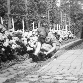 Woman gardening near flowers and a brick path.