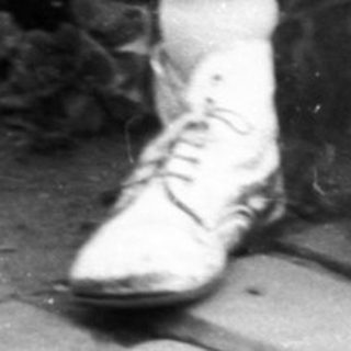 A small dog stands on a brick path.