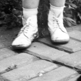 A small dog stands on a brick path.