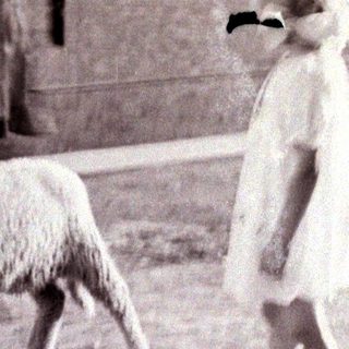 Children playing with a lamb in a rural setting.