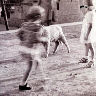 Children playing with a lamb in a rural setting.