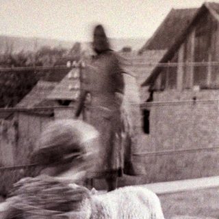 Children playing with a lamb in a rural setting.