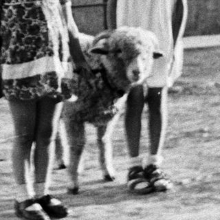 Two young girls stand with a dog in a yard.