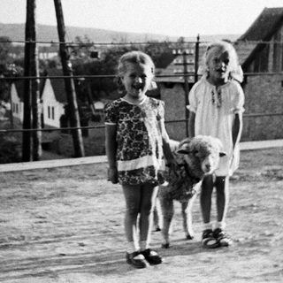 Two young girls stand with a dog in a yard.