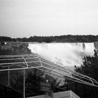 Niagara Falls view with railing and lush greenery.