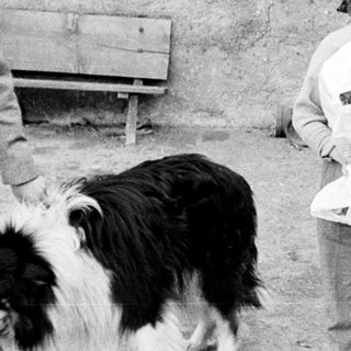 Two girls holding a baby outdoors with a dog.