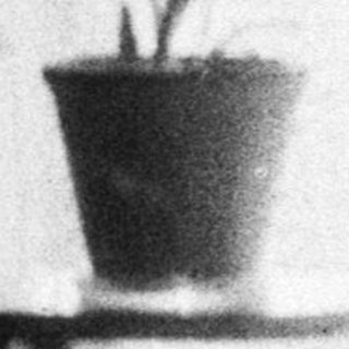 Young girl stands near plants and a window.
