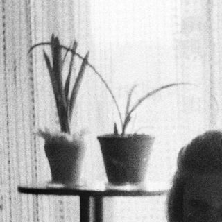 Young girl stands near plants and a window.