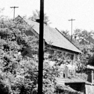 Road leading uphill, lined with trees and utility poles.