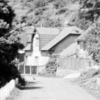 Road leads to a house framed by dense foliage.