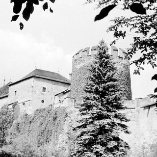 Here's a brief summary of the image: Historic castle with tower, overgrown with ivy and foliage.