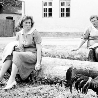 Here's a brief summary of the image: Two women and a rooster sit on a log.