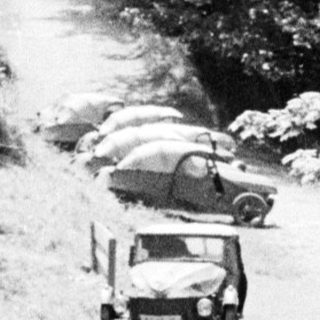 Person walks along a road lined with trees and cars.