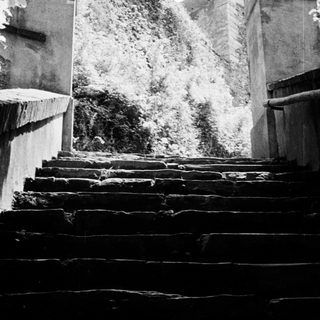 Stone steps lead upwards between weathered walls, bathed in light.