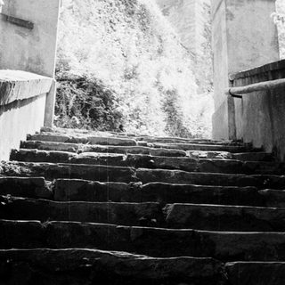 Stone steps ascend between walls, partially obscured by foliage.