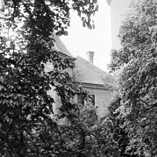 Black and white image of a castle seen through trees.