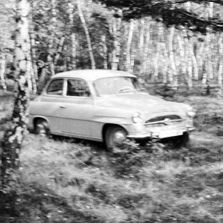 Woman stands near a vintage car in a wooded area.