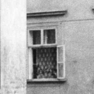 Woman in vintage dress stands on stone steps.
